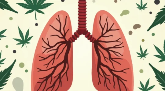 can-smoking-weed-increase-lung-cancer-risk
